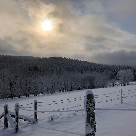 Fennies Huette Villa Медебах Екстериор снимка